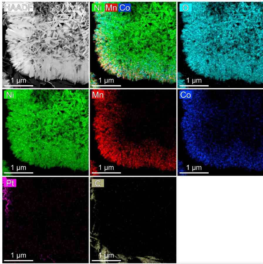 正极里掺点钽竟然逆转衰减，0.5%背后藏着什么秘密？