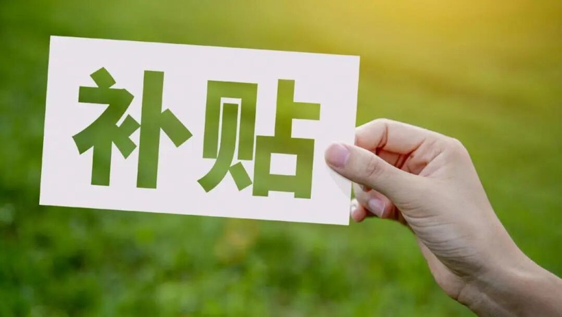 “国补”续命后车市更卷了？明年倒下的会是谁