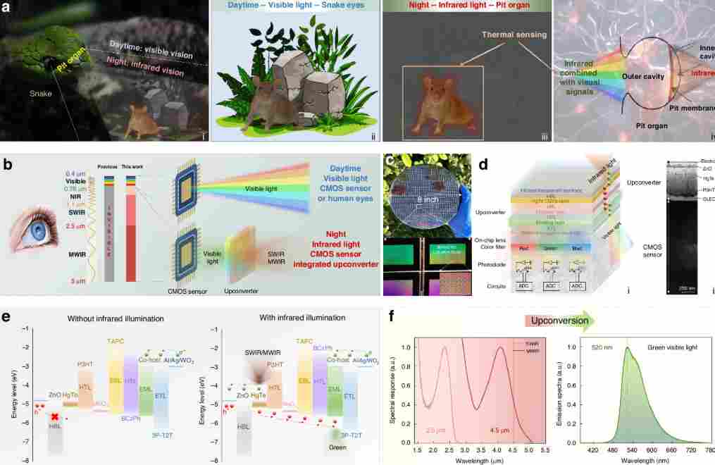 【全球汽车新技术观察】12月上期〡马瑞利推出Affordable 5G RedCap技术 用于车辆远程信息处理；英伟达发布自动驾驶开源AI模型Alpamayo-R1；受蛋清启发，KIMS开发高性能散热复合材料