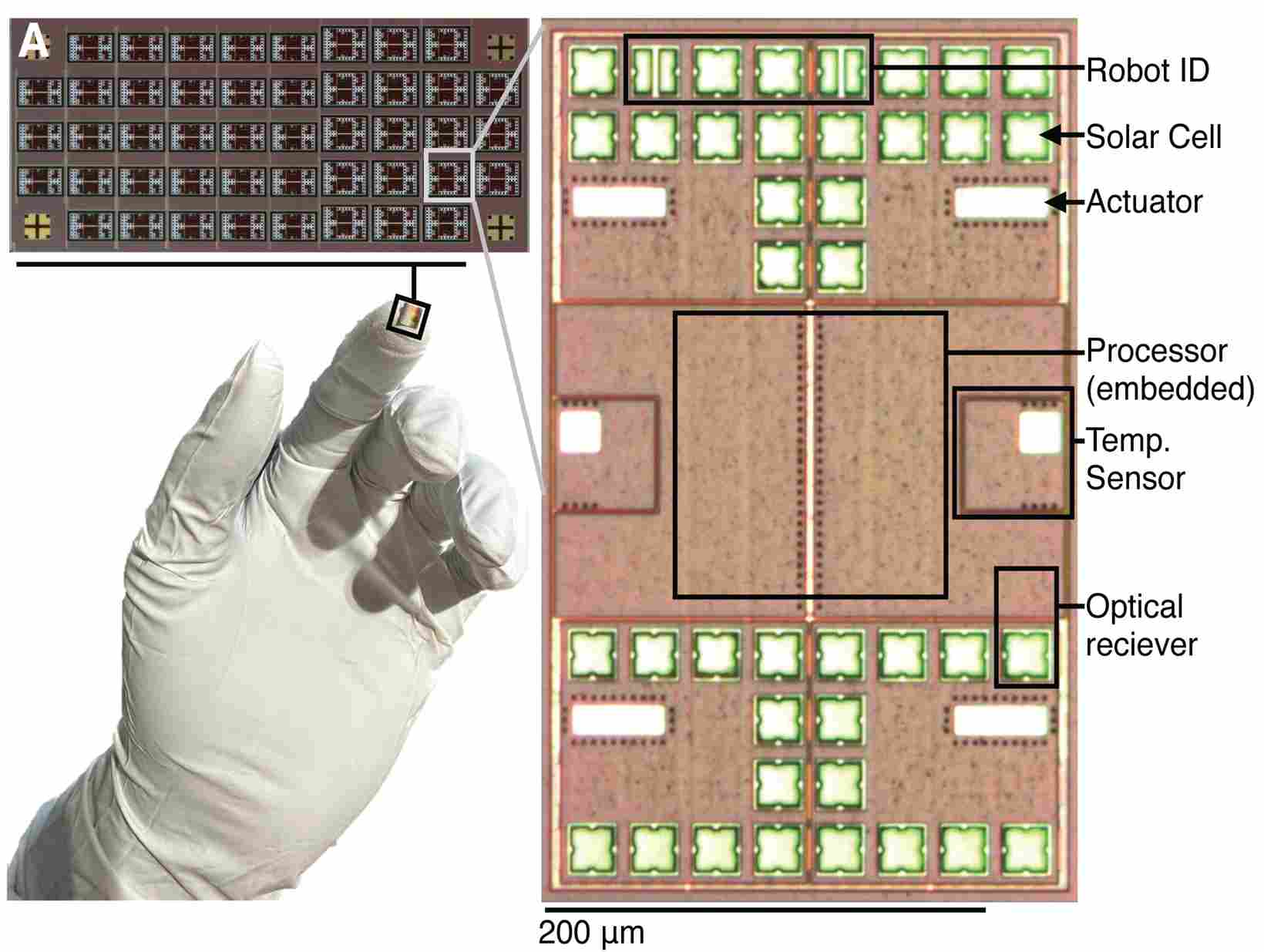 【全球汽车新技术观察】12月下期〡采埃孚推出底盘主动降噪功能；联发科携手电装开发ADAS专用SoC；Stellantis获泡沫式热失控抑制系统专利