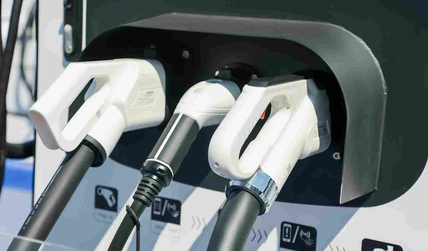 晓莺说 | 世界大而不同